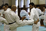 指導者講習会
形指導によって、日本拳法の術理を理解。