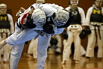 平成21年度日本拳法連盟鏡開き式
赤：富安 初段（明治大学） vs 白：竹之下 1級（中央大学）、竹之下の投げ→押さえ面突き（一本）。