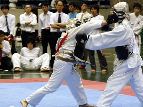 矢野杯争奪日本拳法第22回東日本学生個人選手権大会 
_MG_4120.jpg