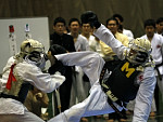 矢野杯争奪日本拳法第22回東日本学生個人選手権大会
