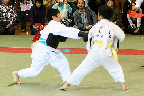 第2回日本拳法関東少年選手権大会 防具試合、小学2年生男子の部
bougu_s2d_1.JPG