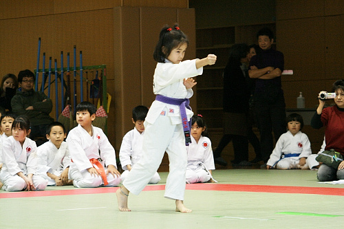 第2回日本拳法関東少年選手権大会 形試合、小学1年生の部
kata_s1_1.JPG