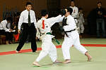 第2回日本拳法関東少年選手権大会
防具試合、中学生男子の部