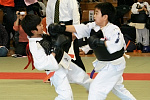 第2回日本拳法関東少年選手権大会
防具試合、小学3年生男子の部