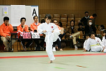 第2回日本拳法関東少年選手権大会
形試合、小学2年生の部