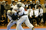 日本拳法第23回東日本大学リーグ戦
