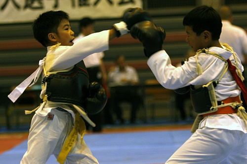 日本拳法全国選抜社会人選手権大会 
_MG_9602.JPG