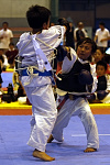 日本拳法全国選抜社会人選手権大会
東日本選抜選手権・小学3年生の部。