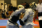 日本拳法全国選抜社会人選手権大会
