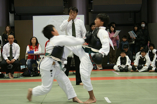 第3回日本拳法関東少年選手権大会 防具試合
34.JPG