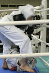 平成25年度日本拳法連盟鏡開き式
撮影：竹越