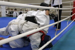 平成25年度日本拳法連盟鏡開き式
逆撮り（一本）<br>撮影：Inno