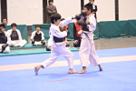 第5回日本拳法関東少年選手権大会
少年防具<br>撮影：日本拳法関東少年連盟