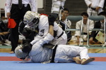 2013日本拳法東日本総合選手権大会
