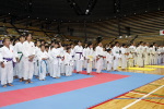 日本拳法全国選抜社会人選手権
開会式。北海道から九州、幼年から50歳近くまでの老若男女が出場した。