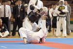 日本拳法第26回東日本大学選手権大会
撮影：Inno