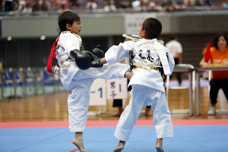 2015日本拳法総合選手権大会 撮影：Inno
_U8A2448.JPG
