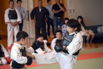 日本拳法宮城・王者争奪戦2016
写真提供：宮城県日本拳法連盟