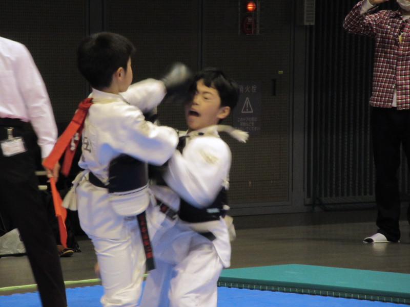 第9回日本拳法関東少年選手権大会 
14.JPG