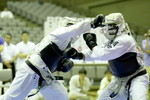 日本拳法第29回東日本大学選手権大会
