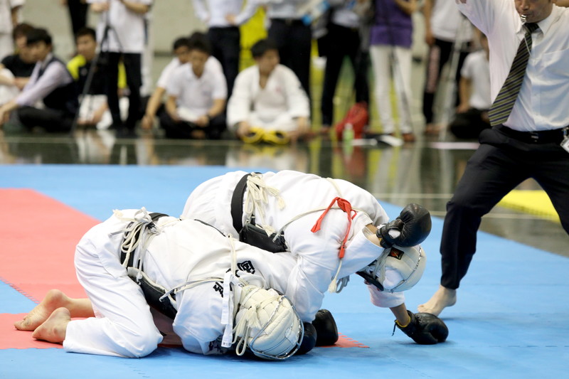 矢野杯争奪日本拳法第31回東日本学生個人選手権大会 
E5D_2966.JPG