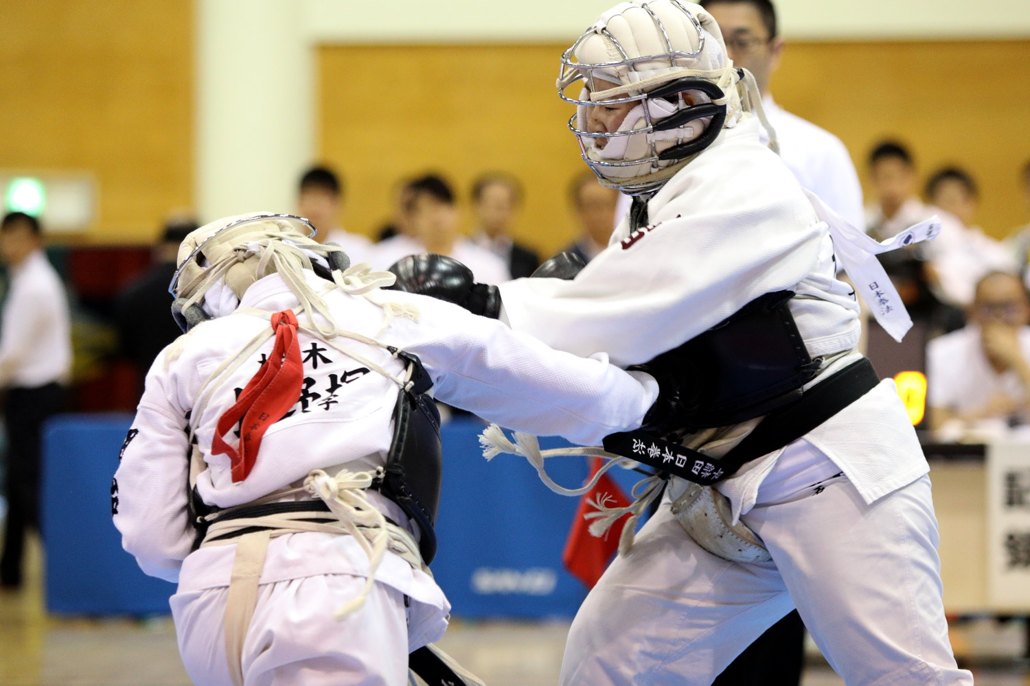 日本拳法第32回東日本大学リーグ戦 
E5D_1309.JPG