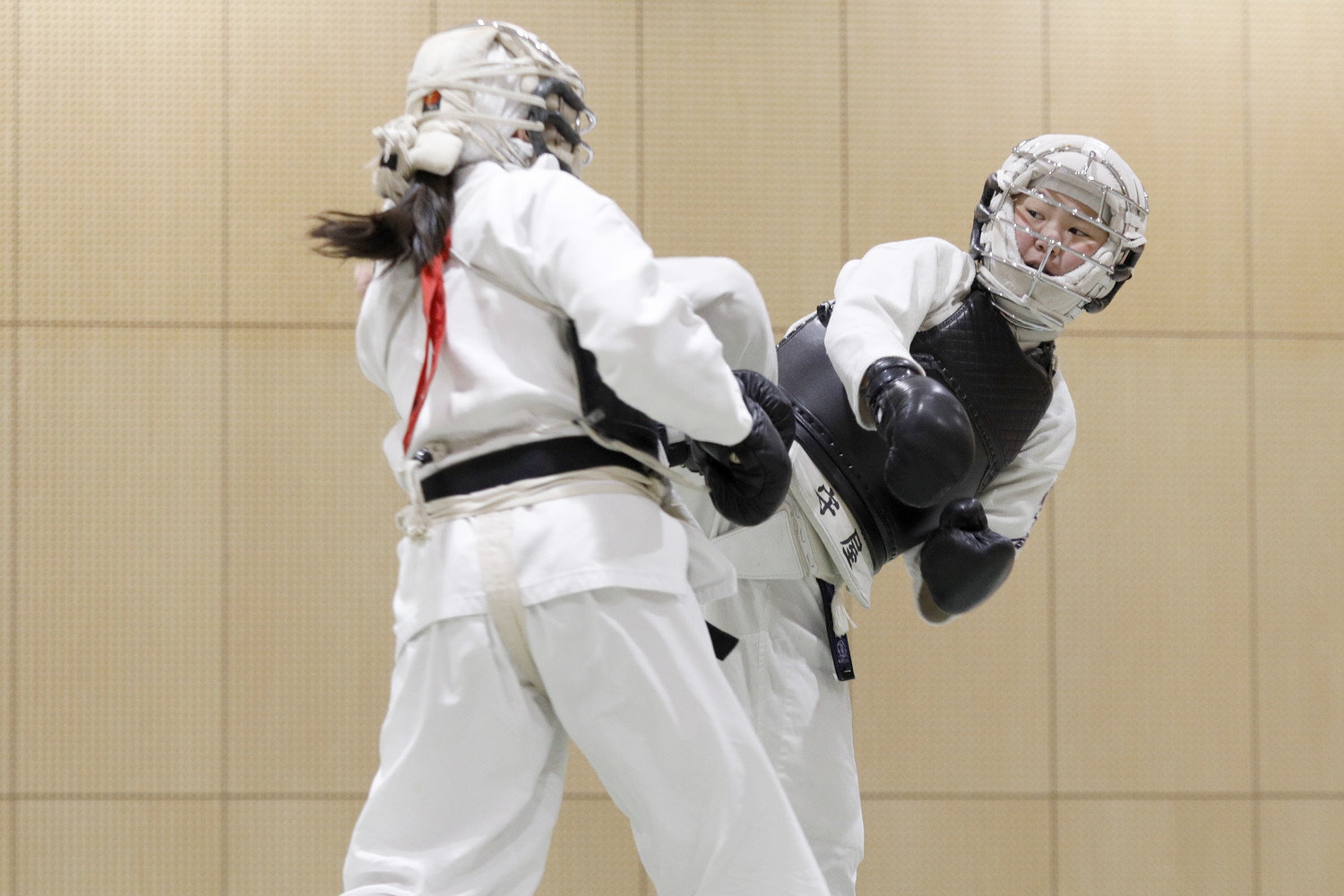 令和5年度 日本拳法・全日本体重別選手権大会 
_5D_0224.JPG