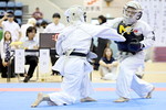 日本拳法第36回東日本大学選手権大会
男子の部