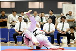 日本拳法第39回全国大学選抜選手権大会
